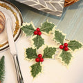 Julkristuspalmu lehdet ja marjat