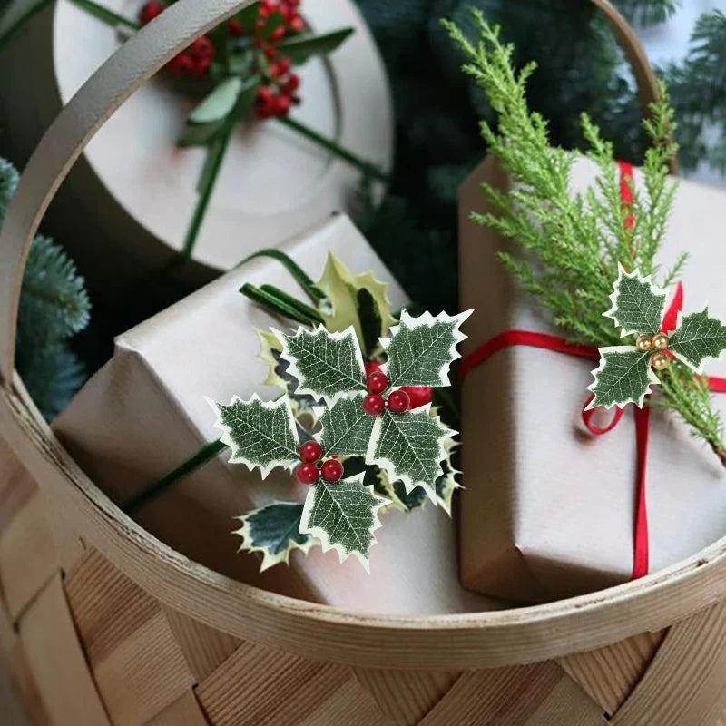 Julkristuspalmu lehdet ja marjat
