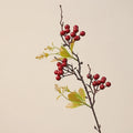 Julkristuspalmu marjahara, 58 cm